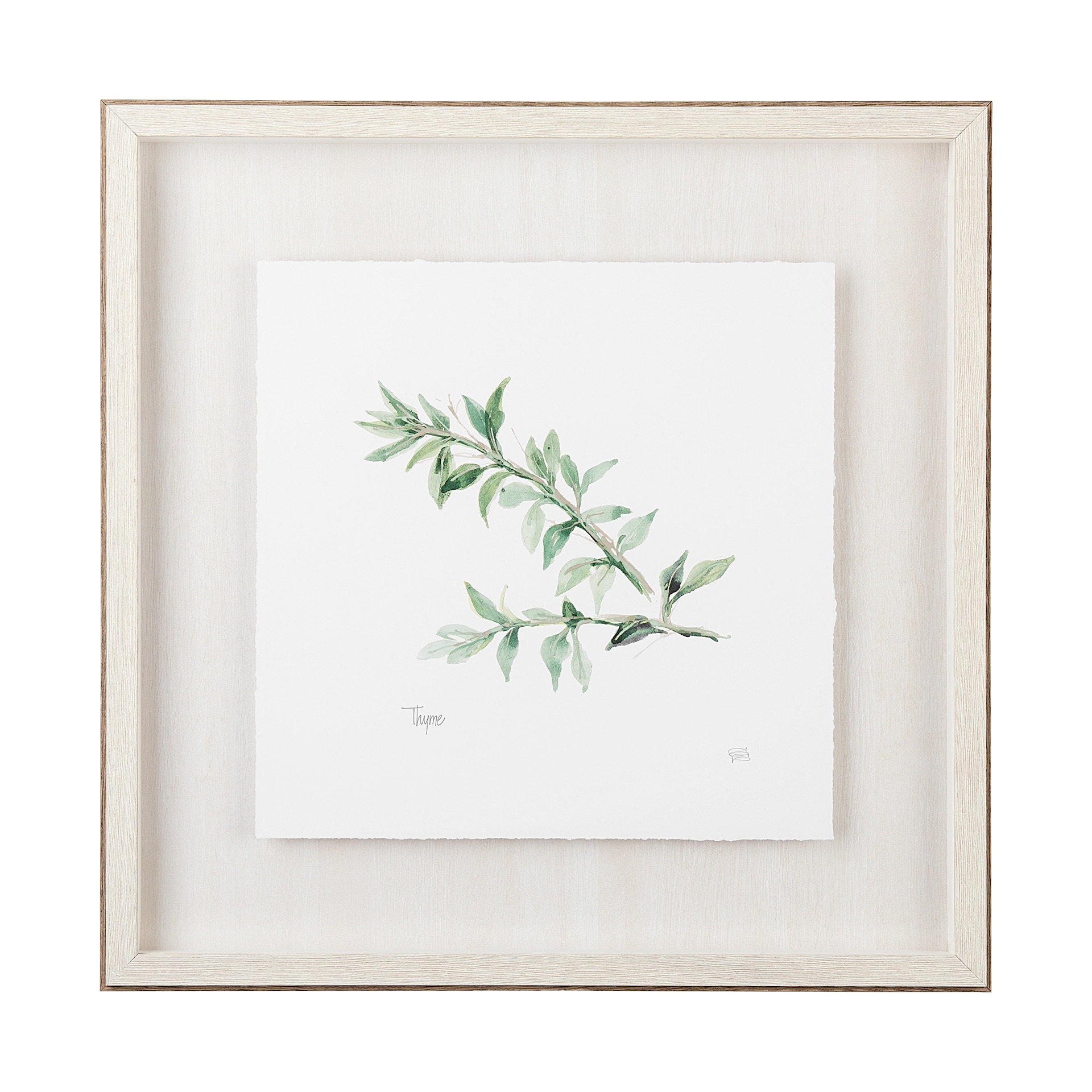 Mercana Thyme v2 by Chris Paschke a Framed Art Print Matted under Glass