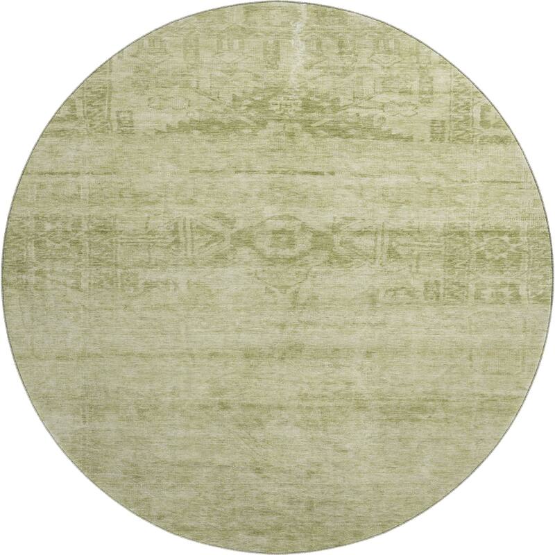 Premium Washable Super Soft Vintage Traditional Mayfield Rug