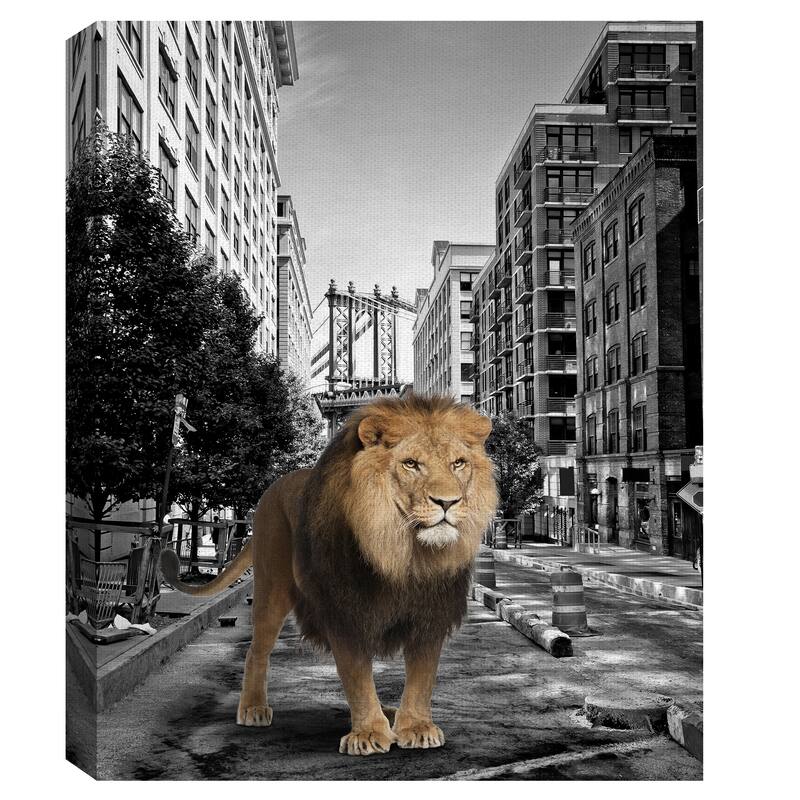 Urban Jungle I by Belle Maison Canvas Art Print