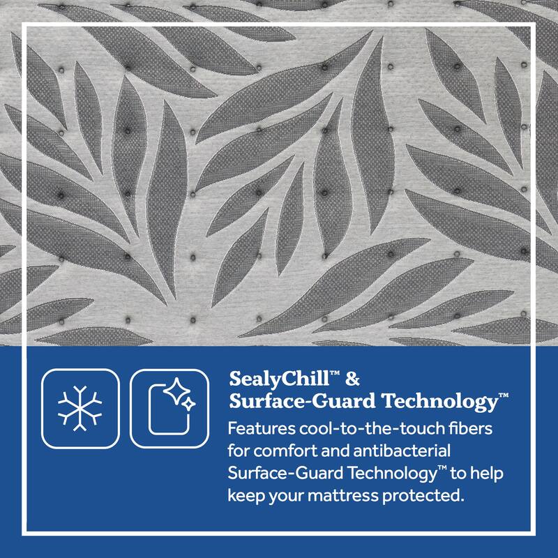Sealy Virginia Street 14-inch Plush Euro Pillow Top Mattress Set