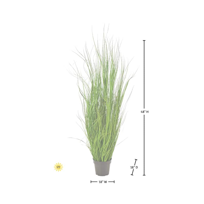 60" UV Potted Fountain Grass