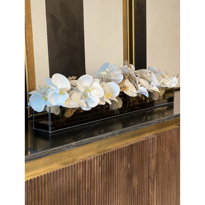 36 Inch Casa Moderna Black Tinted Glass Plate Planter with white Phalaenopsis orchids