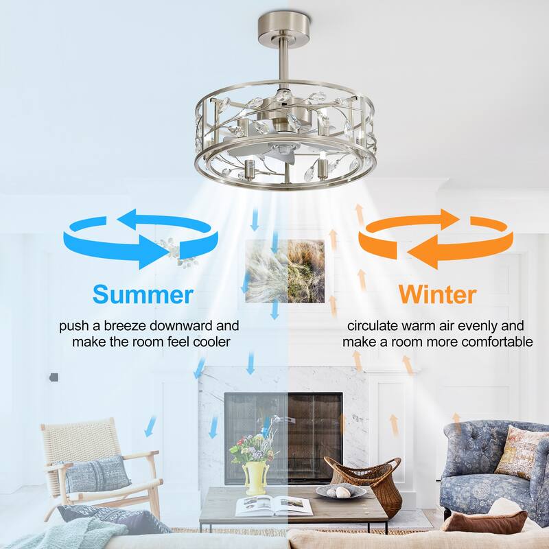 20" Modern 5-Blade Caged Ceiling Fan with Light Kit and Remote