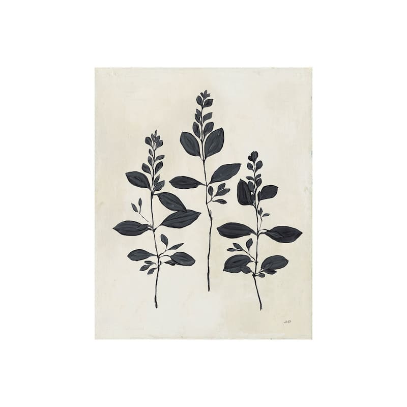 Botanical Study IV (28 x 35) Canvas Art Print - Small