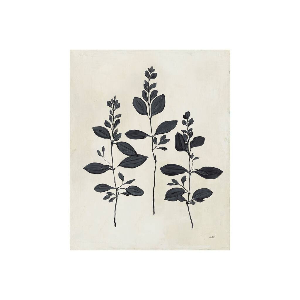 Botanical Study IV (28 x 35) Canvas Art Print