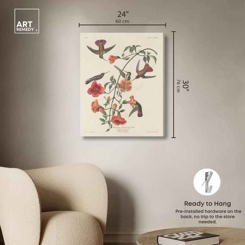 Humming Bird 1834 Canvas by Art Remedy, Gallery Wrapped