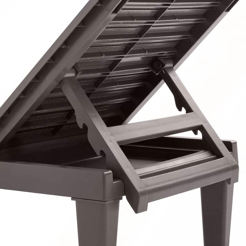 2-Piece Outdoor Chaise Lounges with Adjustable Backrest