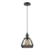 Option Oil Rubbed Bronze / Light Smoke