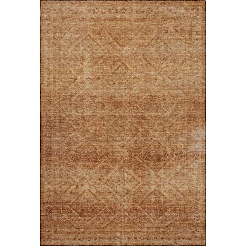 Premium Washable Super Soft Boho Moroccan Mayfield Rug