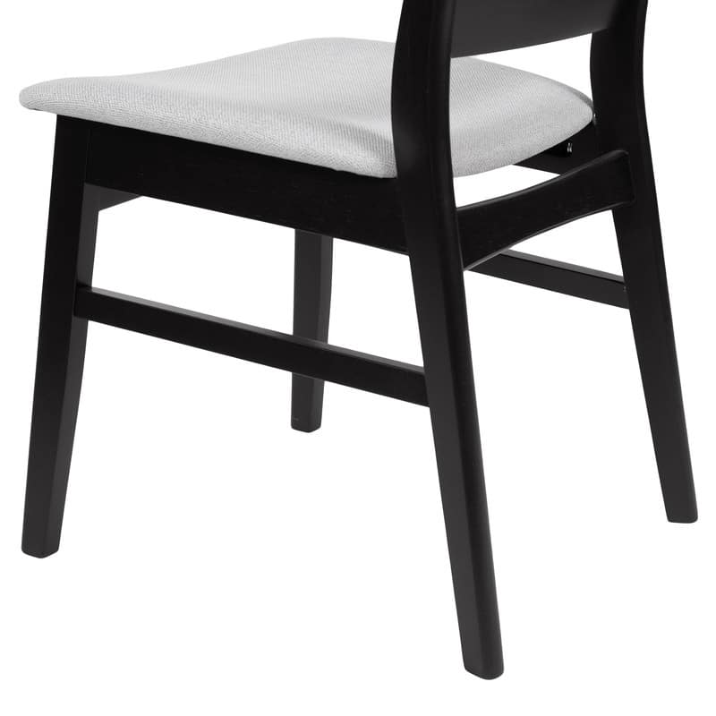 Mid-Century Modern Dining Chairs (Set of 2)