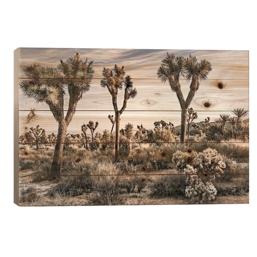 Joshua Tree Views IX Print On Wood by Rachel Perry - Multi-Color