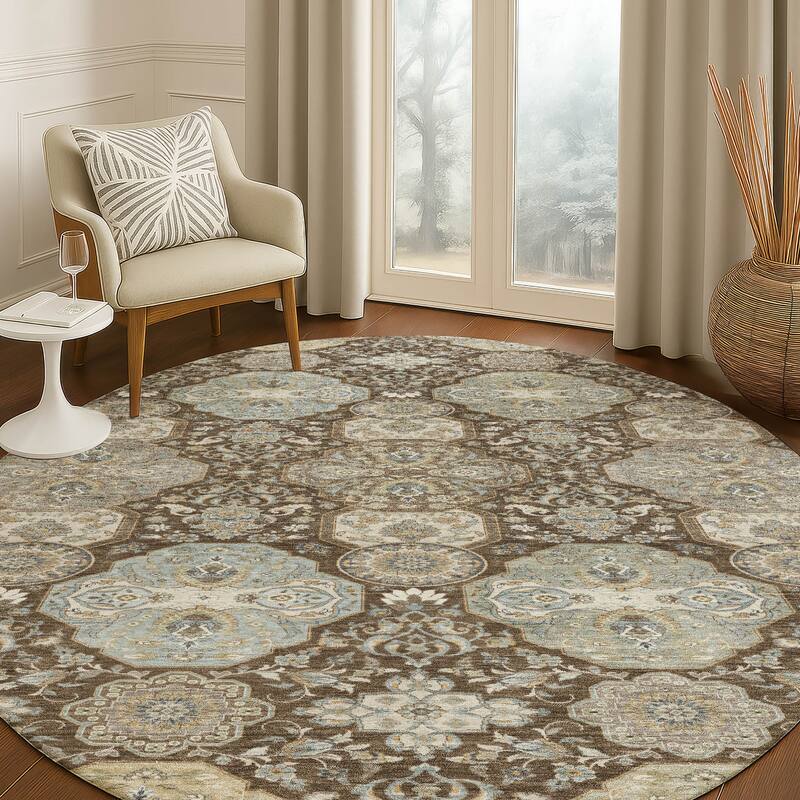 Machine Washable Indoor/ Outdoor Traditional Tracey Chantille Rug