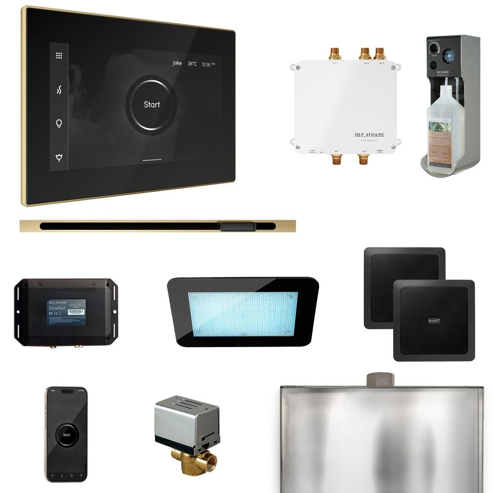 Mr Steam BLS1-L Bliss Linear Package Steam Shower Control Package with