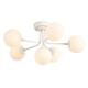 Option White