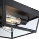 preview thumbnail 3 of 9, Westinghouse Lighting Peterson 12 Inch, Two Light Outdoor Flush Mount Ceiling Fixture