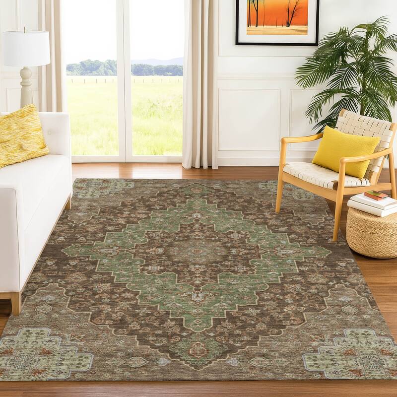 Machine Washable Indoor/ Outdoor Traditional Karachy Chantille Rug