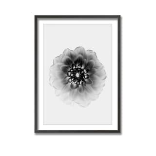 "X-Ray" Framed Print Wall Art by Alex Zhao