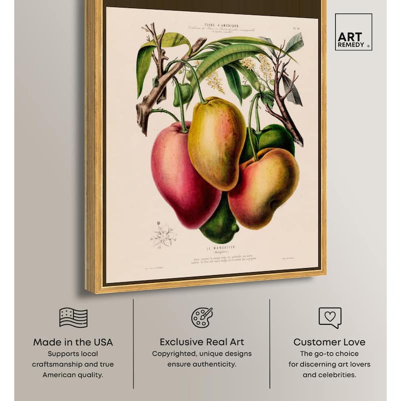 Mangoes by Etienne Denisse Canvas by Art Remedy