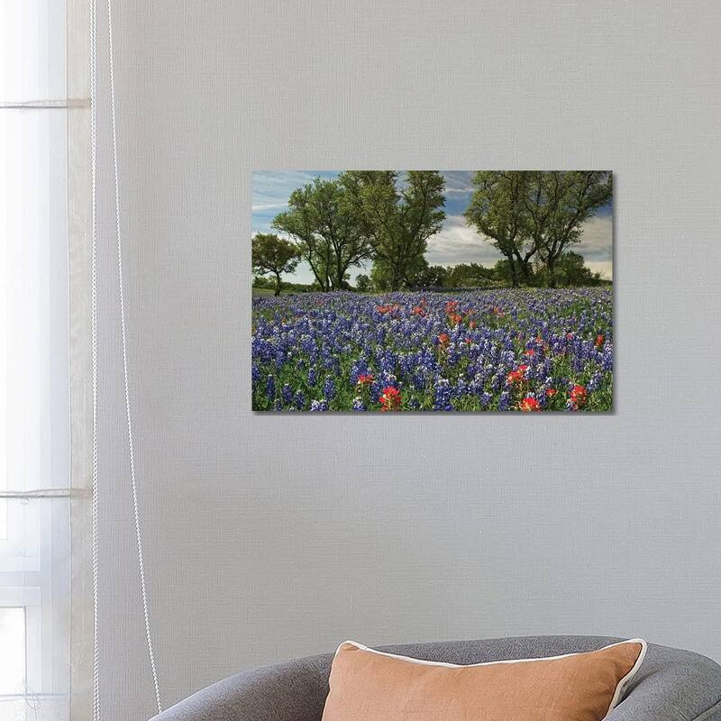 iCanvas "Sand Bluebonnet And Indian Paintbrush Flowers In Bloom, Hill Country, Texas" by Tim Fitzharris Canvas Print - 18x26x1.5