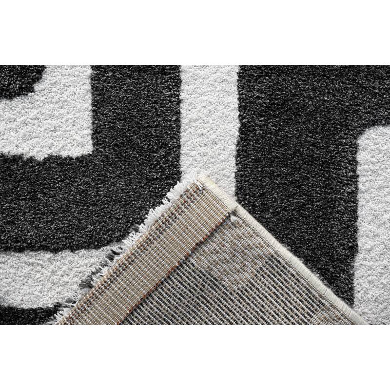 Lillian Black and Ivory Recycled Polyester Area Rug - 6' x 9'