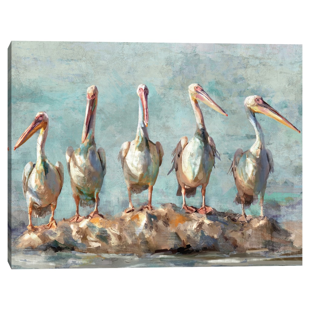 Pelican Pause by Studio Arts Canvas Art Print