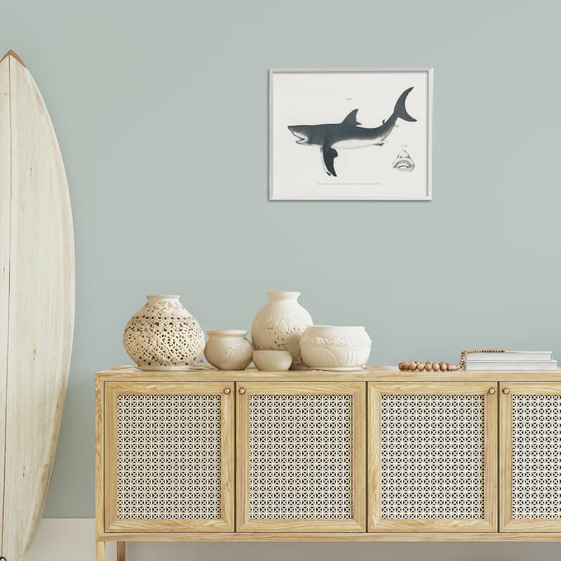 Stupell Detailed Shark Diagram Framed Giclee Art Design By Phillipa Katz