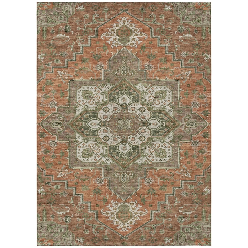 Machine Washable Indoor/ Outdoor Persian Traditional Chantille Rug