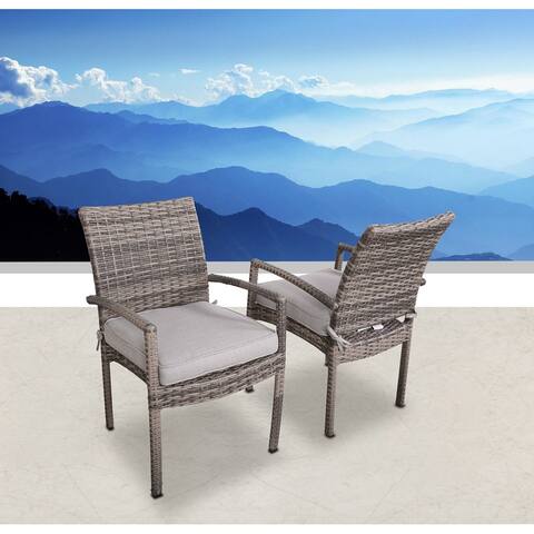 LSI Chairs 2 Piece Set With Cushions