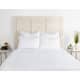 Option White