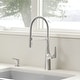 preview thumbnail 11 of 33, Blanco Rivana Semi-Pro Pull-Down Dual-Spray Kitchen Faucet 1.5 GPM - 8.88-in x 4.56-in x 19.88-in