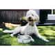 Lucky Dog INDULGE Double Wall Stainless Steel Dog Bowl Non Slip Lifetime Warranty