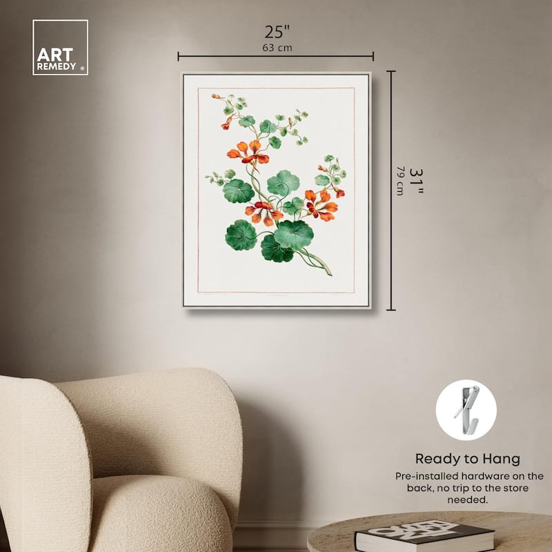 Nasturtium (1788) Canvas by Art Remedy