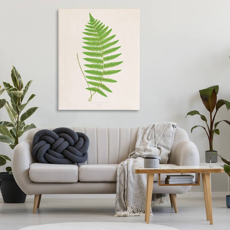 Stupell Single Fern Branch Canvas Wall Art Design By Phillipa Katz