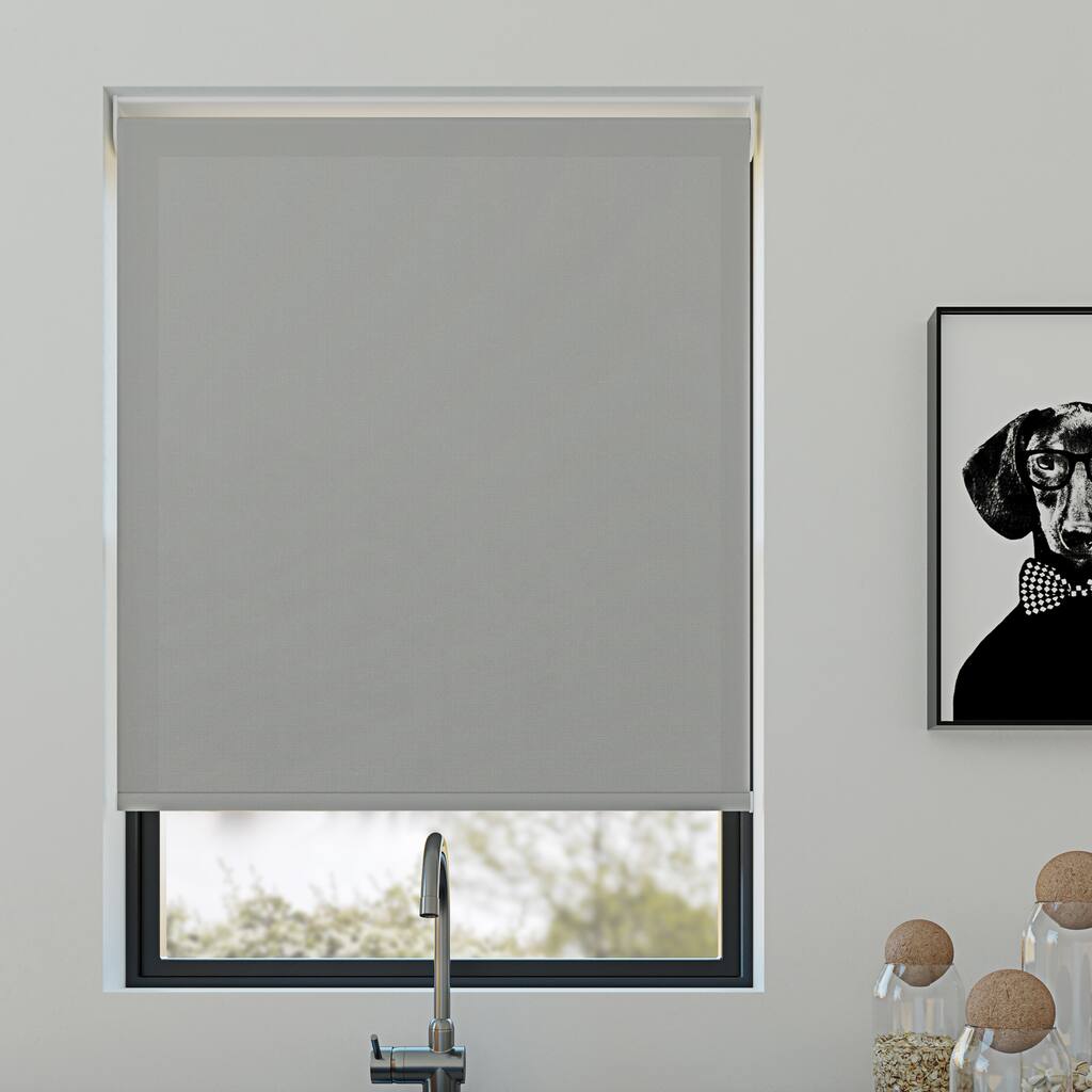 Sun Zero Morris Daybreak Light Filtering Cordless Roller Shade