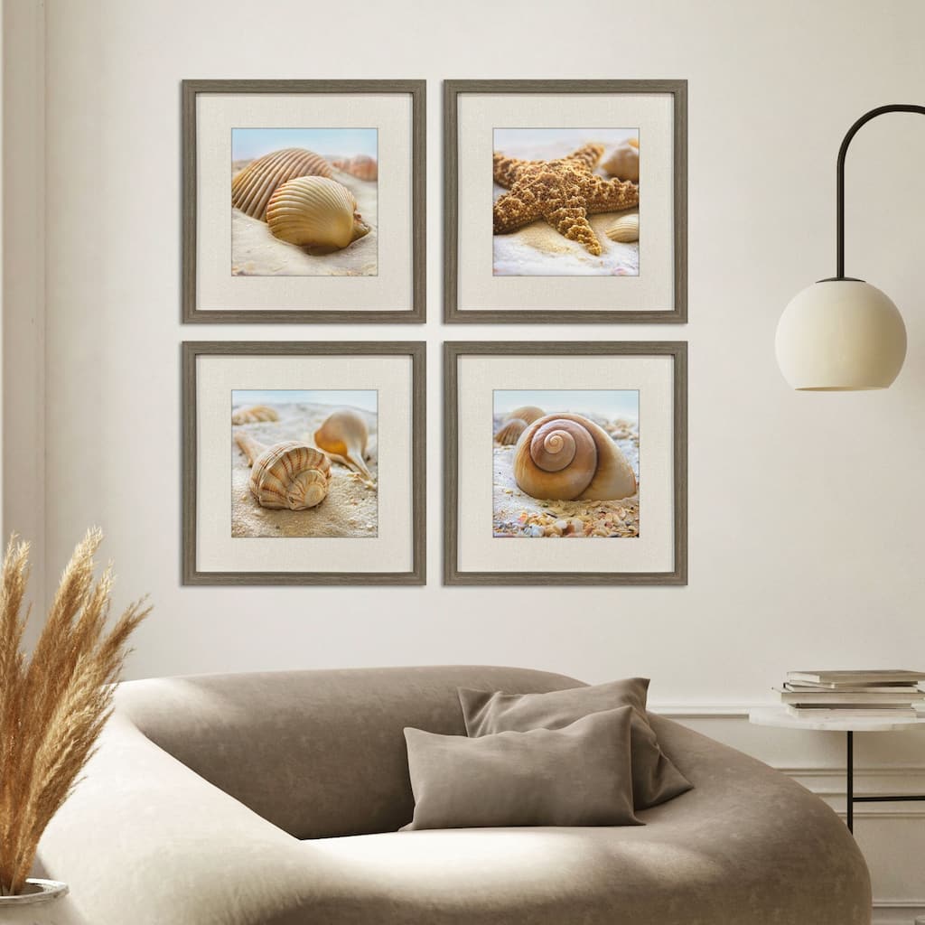 Paragon Beachy Shells Framed Art - Set of 4