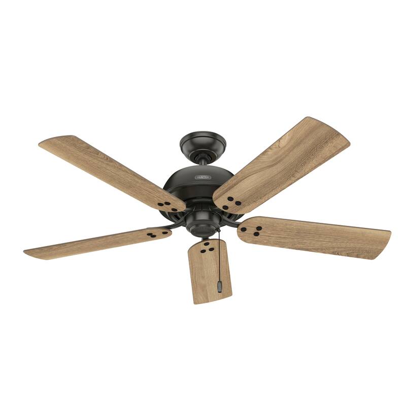 Hunter 52" Shady Grove Ceiling Fan with LED Light Kit/ Pull Chain, Standard or Flush Mount - Casual, Transitional