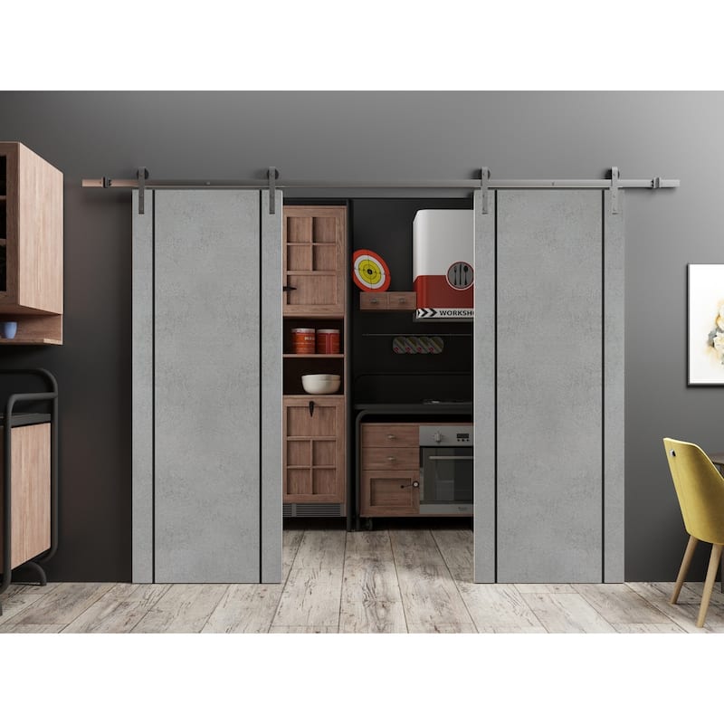 Sturdy Double Barn Door 36 x 80 with Planum 0016 Concrete with 13FT