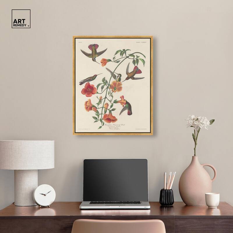 Humming Bird 1834 Canvas by Art Remedy