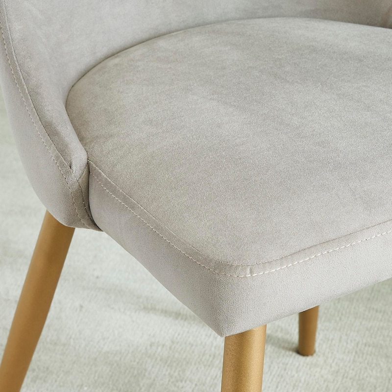Carmilla Side Velvet Upholstered Chair (Set of 2)
