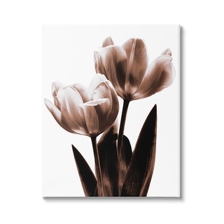 Stupell Modern Tulip Silhouette Duo Canvas Wall Art by Caroline Kelly ...