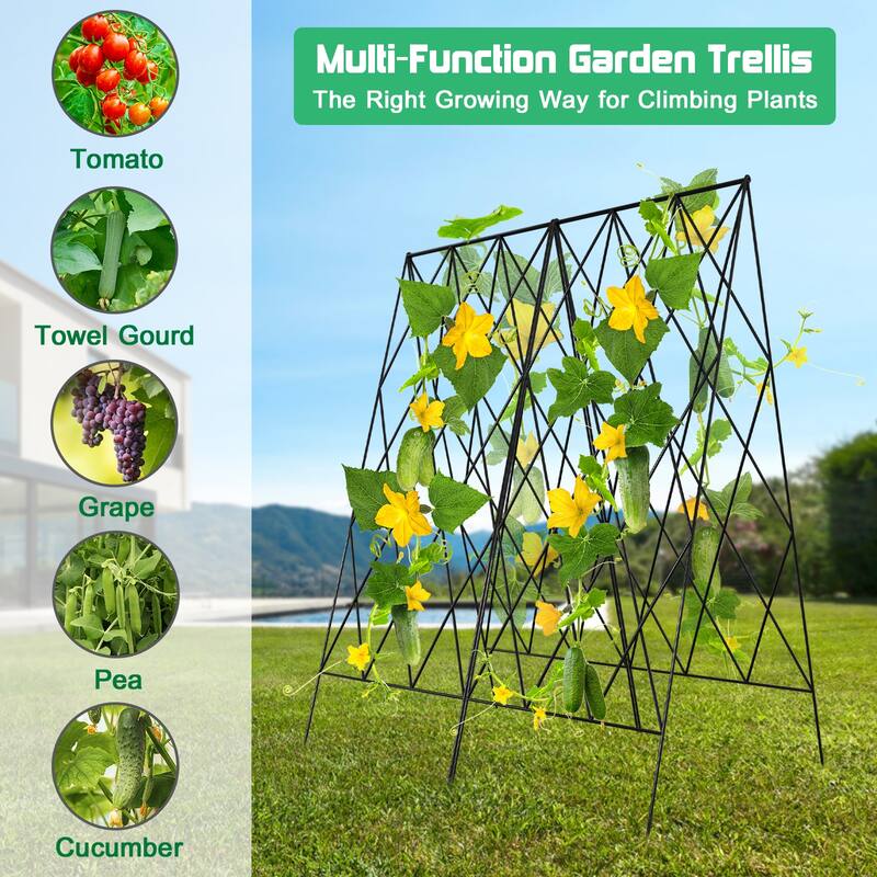 Foldable Cucumber Trellis, Outdoor Garden Trellis for Climbing Plants
