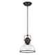 Option Black-Bronze Seeded Glass