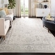preview thumbnail 1 of 147, SAFAVIEH Adirondack Dakota Rustic Shabby Chic Distressed Rug 10' x 14' - Ivory/Silver