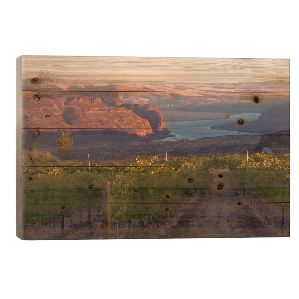 Columbia River With Cave B Vineyard In The Foreground, Columbia Valley AVA, Washington, USA Print On Wood by Janis Miglavs