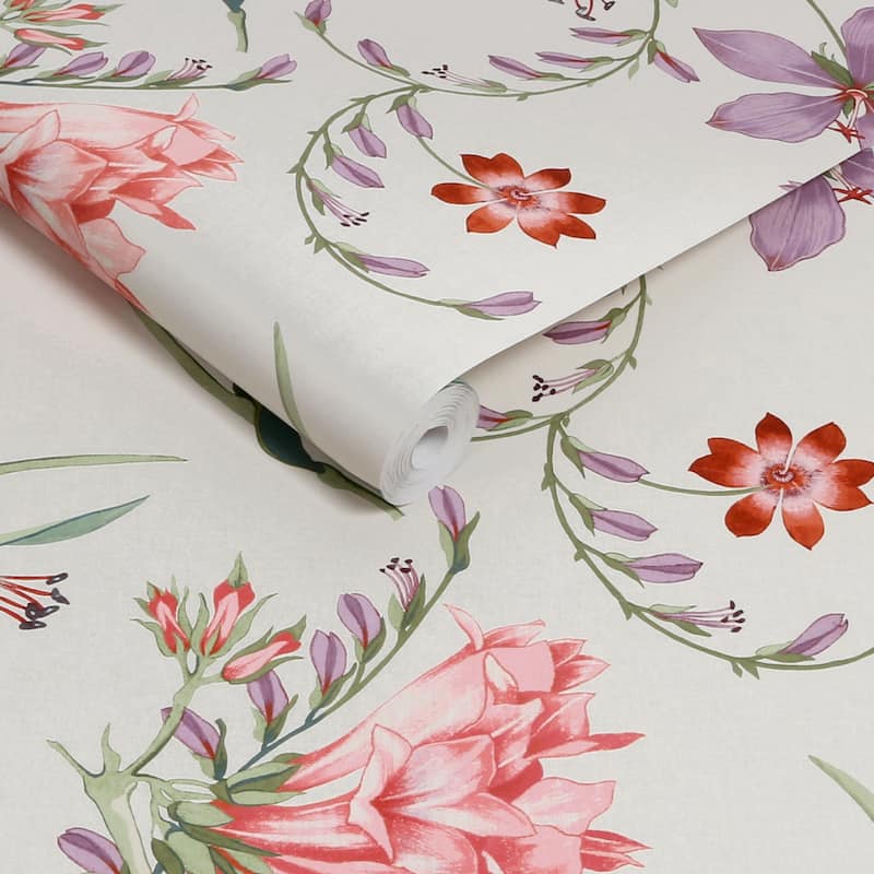 Graham & Brown Botanists Scroll Pink Wallpaper