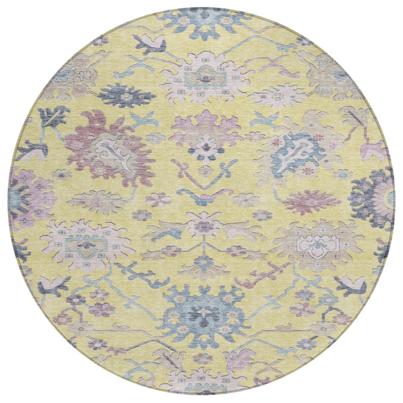 Machine Washable Indoor/ Outdoor Causal Traditional Chantille Rug