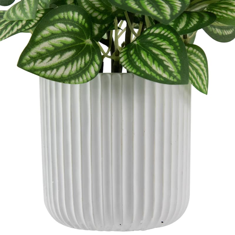 Artificial Watermelon Peperomia Plant in Pot - 6.5"
