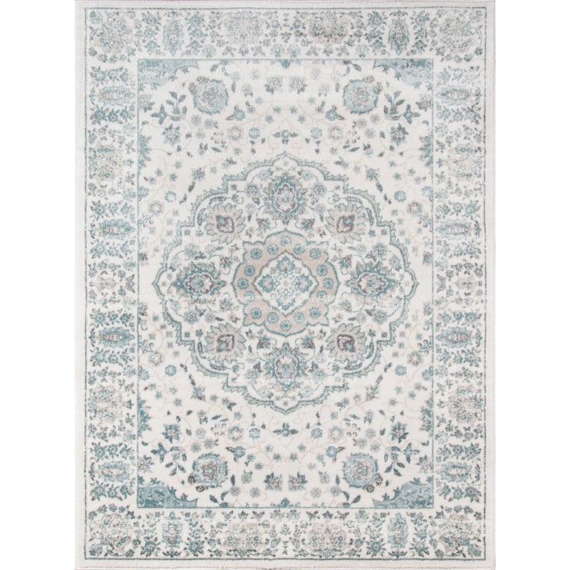 Momeni Brooklyn Heights Polyester Blend Traditional Medallion Area Rug - 9'3" x 12'6"