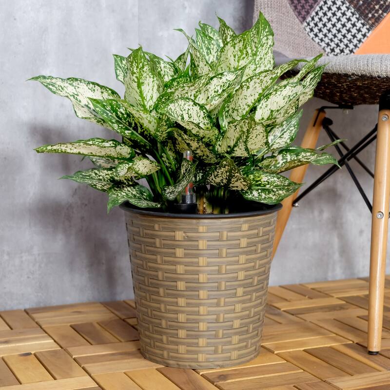GDFStudio - Farmhouse 13" Wicker Smart Self-Watering Round Planter with Water Level Indicator for Indoor and Outdoor Use - 13.4" - Light Brown