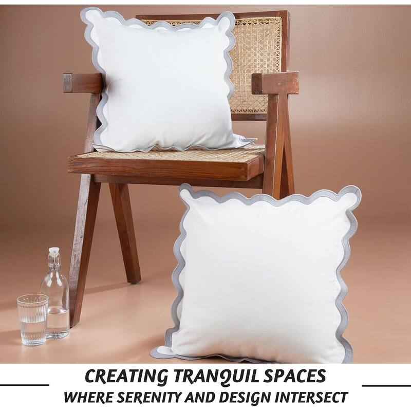 Throw Pillow Covers for Couch Decorative Couch Pillows for Living Room